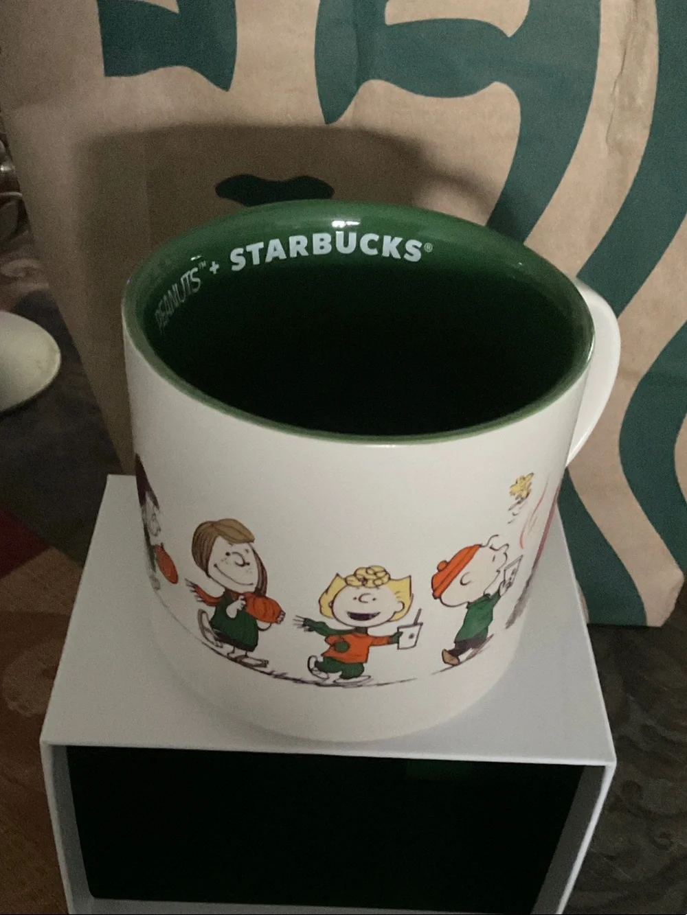Starbucks Kids Costume Box in Green & White with Peanuts Characters
